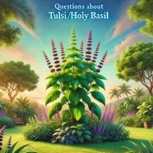 Read more about the article Questions about Tulsi (Holy Basil)