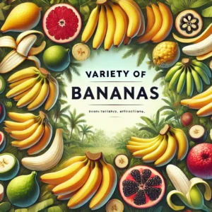 Read more about the article Variety of Banana’s