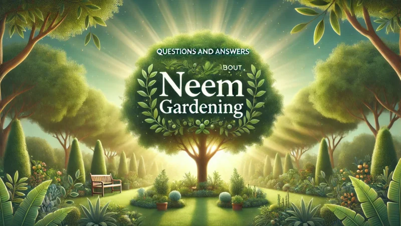 Questions and Answers About Neem Gardening