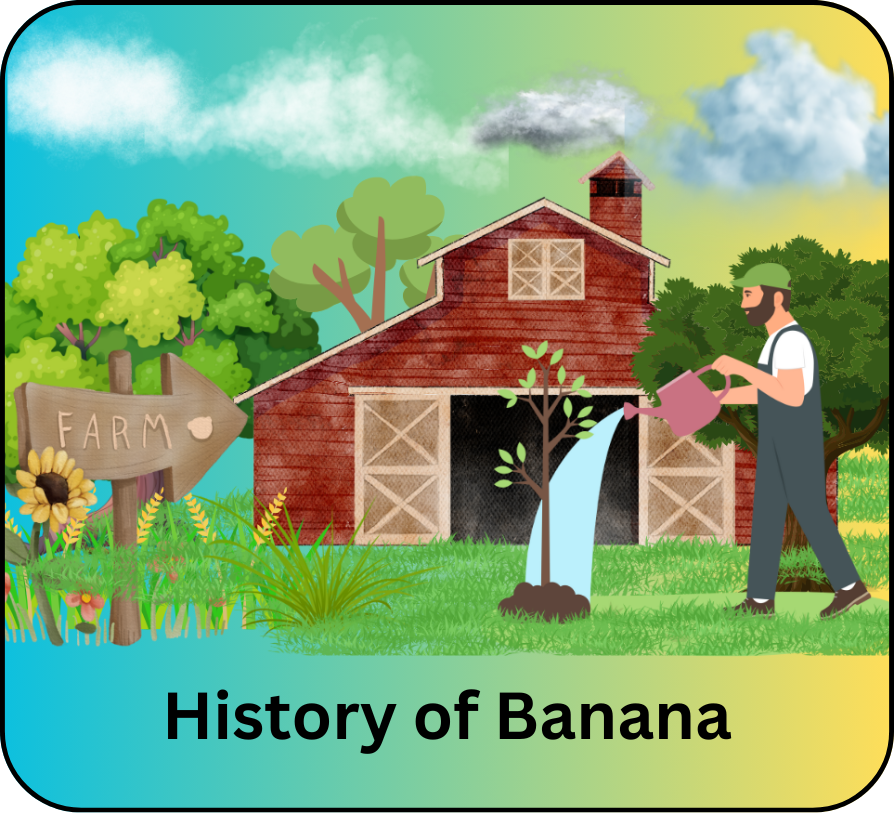 history of banana