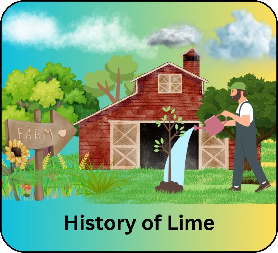 history of lime