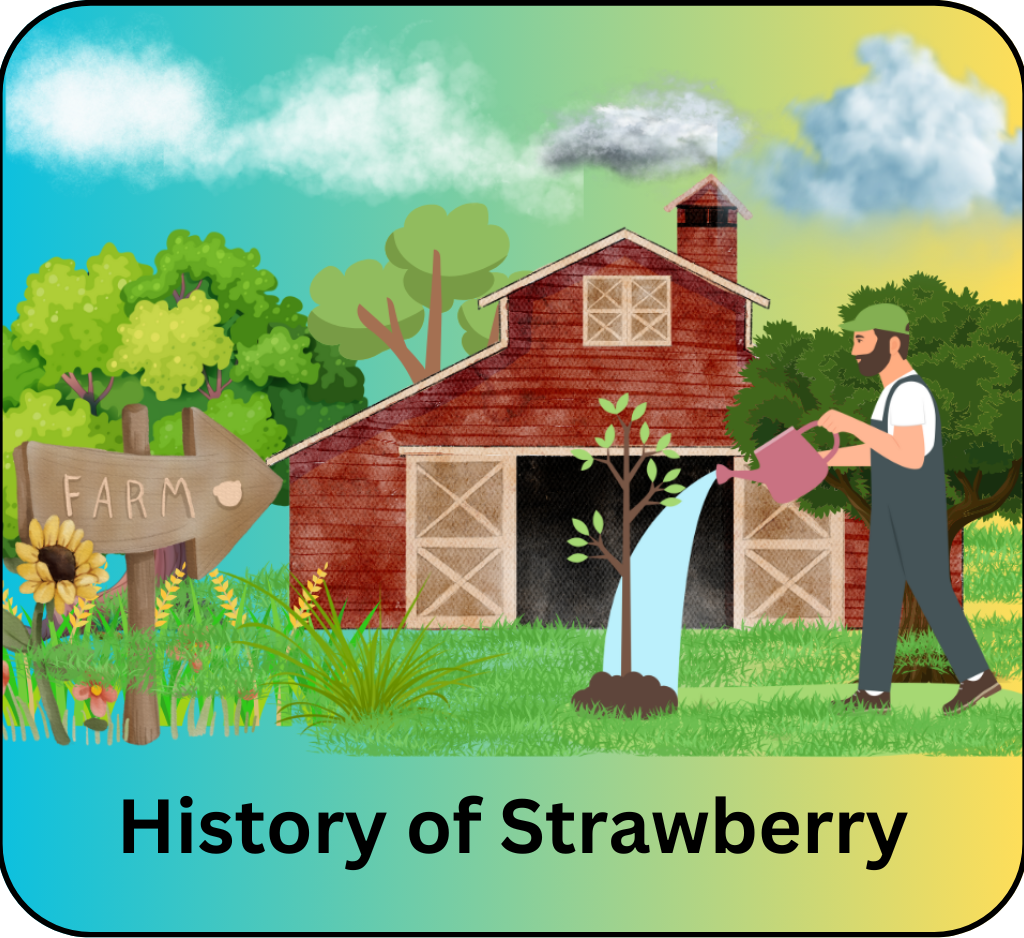 history of strawberry