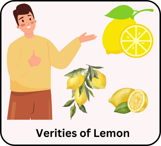 verities about lemon gardening