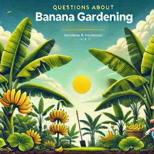 Read more about the article Questions About Banana Gardening