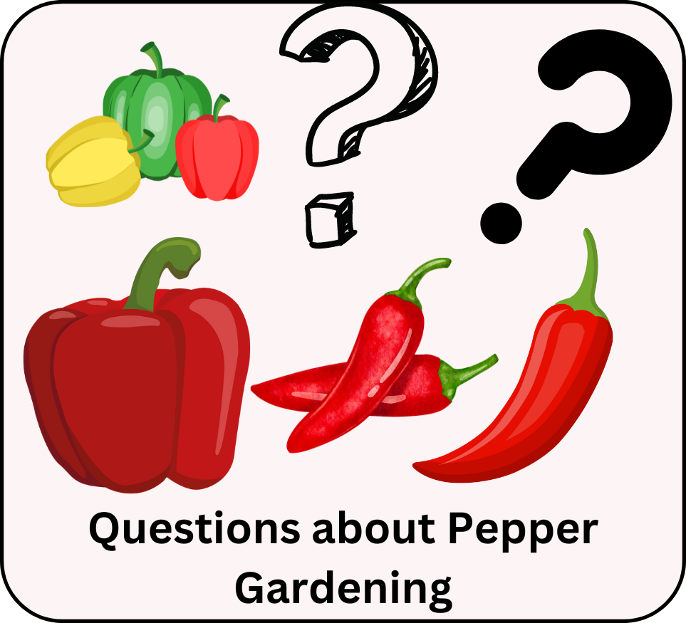 Pepper Gardening: A Comprehensive Guide - Backyard Botanist