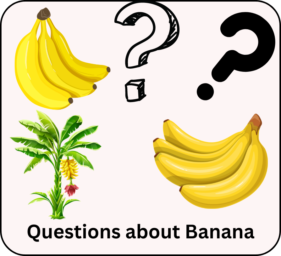 questions about banana gardening