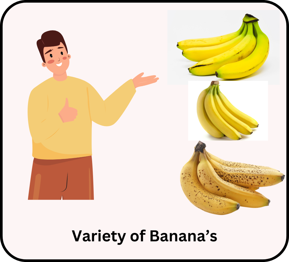 variety of banana