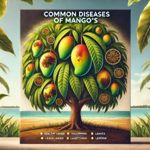 Read more about the article Common Diseases of Mango’s