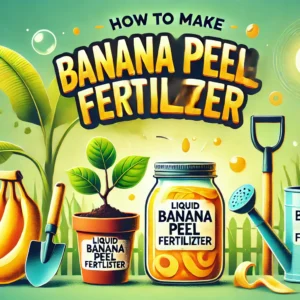 Read more about the article How to Make Liquid Banana Peel Fertilizer