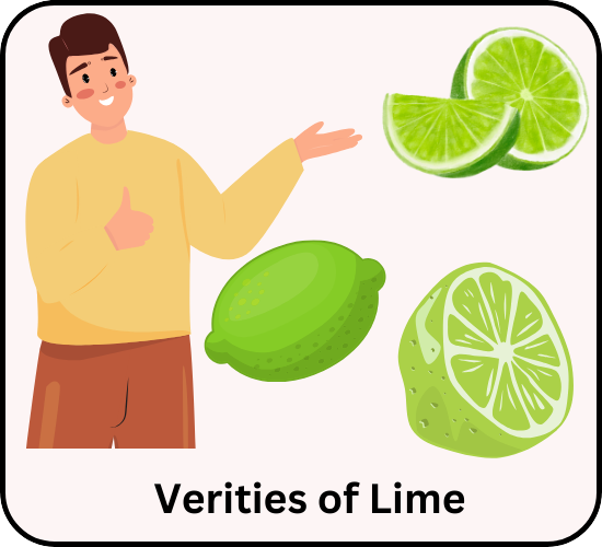 Verities of lime