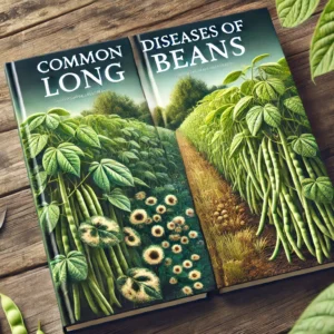 Read more about the article Common Diseases of Long Beans