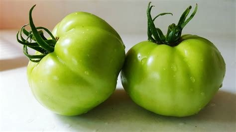 Green Tomato