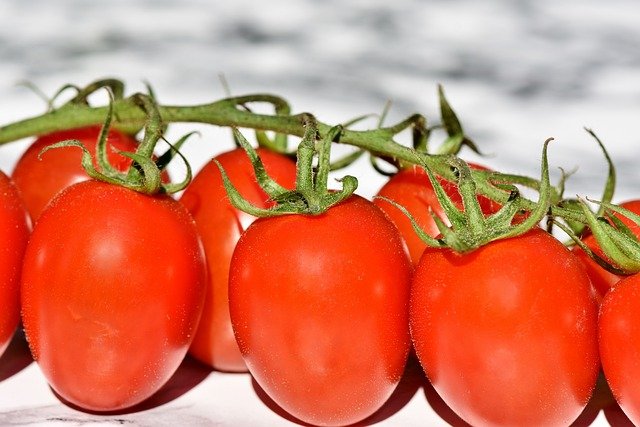 Grape Tomatoes